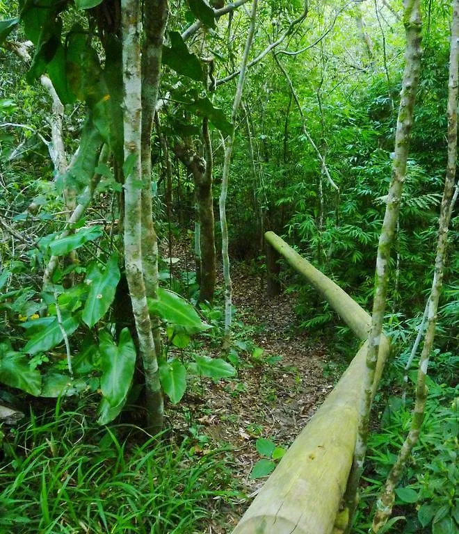 Vila Gaia Chales Vila Florianópolis Brasil